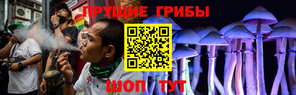 Псилоцибиновые грибы Psilocybe Рузаевка