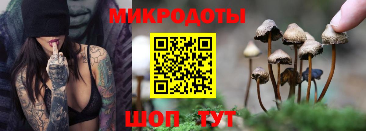 Галлюциногенные грибы прущие грибы  Вход с VPN  Рузаевка 